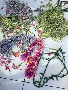 various flowers are laid out on the floor