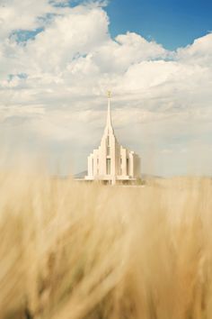 a church in the middle of a wheat field