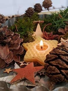 a lit candle surrounded by pine cones and other decorations