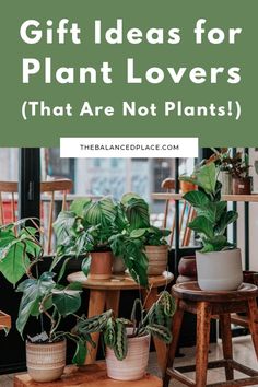 Gift ideas for plant lovers Plant Coffee Table, Plant Books, Plant Book, Perfect Coffee Table, Plant Table, Plant Guide, Coffee Table Book