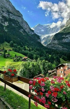 flowers are growing in pots on the side of a wooden fence with mountains in the background