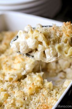 a spoon full of macaroni and cheese being lifted from a casserole dish