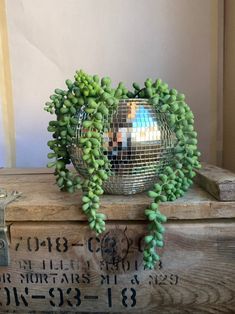 a mirror ball sitting on top of a wooden box filled with green plants and leaves