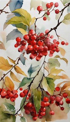 #berries #watercolor #autumn Berries Watercolor, Water Color Pencil, Fruit Arrangements, Fruit Illustration, Nature Illustration, Post Cards, Watercolor Landscape, Autumn Day, Watercolor Flowers