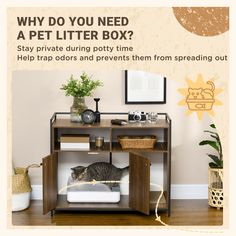 a cat sitting on top of a pet bed in a wooden cabinet next to a potted plant