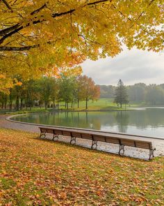 a park bench sitting next to a lake in the fall