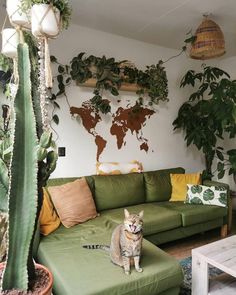 a cat sitting on top of a green couch in front of a wall with plants