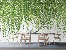 a table and chairs in front of a wall with green leaves hanging from the ceiling