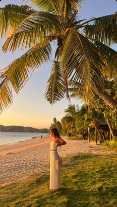 a woman standing under a palm tree on the beach