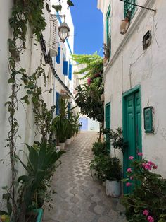 an alley way with potted plants on either side and green doors in the middle