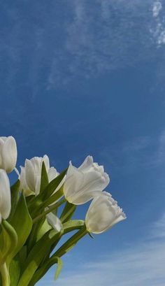 some white tulips are in a vase on a table with blue sky and clouds