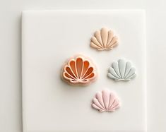 three seashells sitting on top of a white surface