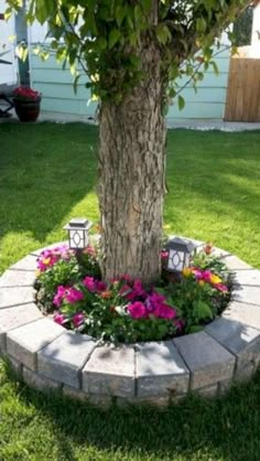 a tree in the middle of a flower bed