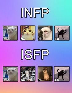 Isfp Profile Pic, Isfp X Infp, Intp Isfp, Isfp Things, Isfp Memes, Isfp Enfp, Isfp T, Isfp Infp, Isfp Personality