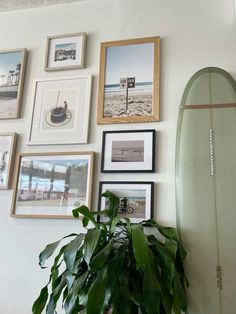 a surfboard is hanging on the wall next to some pictures and a potted plant