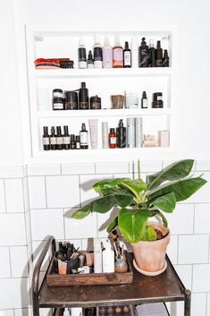 a potted plant sitting on top of a metal shelf next to a white tiled wall