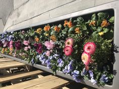 a row of flowers sitting on top of a wooden bench