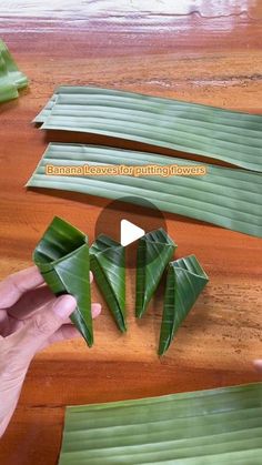 someone is cutting up some green leaves on a wooden table with the words banana leaves for printing flowers