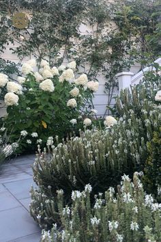 some white flowers and bushes in front of a building