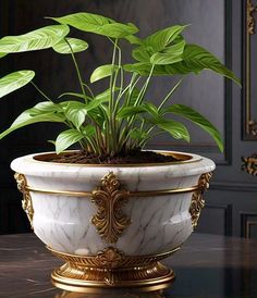 a potted plant sitting on top of a table