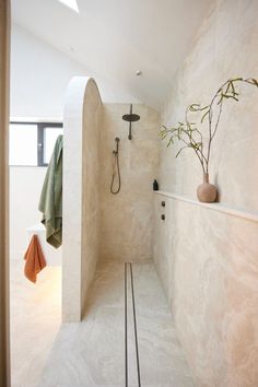 a bathroom with a shower, toilet and plant in it