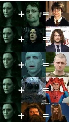 the many faces of harry potter from harry potter to hermilan, which one do you