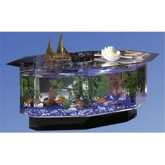 an aquarium with fish in it and other things on the bottom shelf, including a shark fin