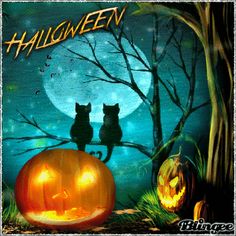 two cats sitting on top of a carved pumpkin in front of a full moon and tree