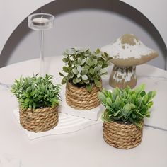 three small plants are sitting in baskets on a table with a mushroom shaped object behind them