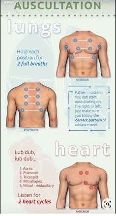 the back and chest are shown with instructions for how to use them in this procedure