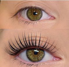 Types Of Eyelash Extensions, Eyelash Extensions Classic, Eyelash Lift And Tint, Beautiful Eyes Color, Eyelash Perm, Eyelash Extensions Styles, Perfect Eyelashes, Eyelash Extension Supplies, Volume Eyelash Extensions