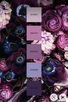 the color scheme is purple and has many different flowers