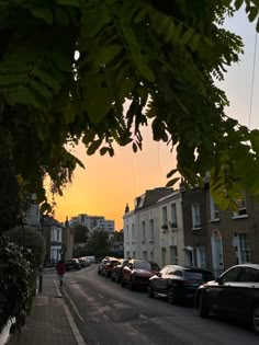 cars parked on the side of a street next to tall buildings and trees at sunset