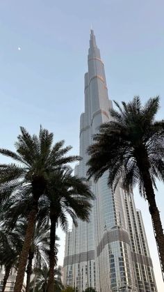 the burj building towering over palm trees in front of it's skyscraper