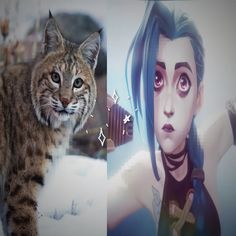 two pictures of cats one with blue hair and the other with cat's face