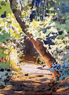 a watercolor painting of a path in the woods