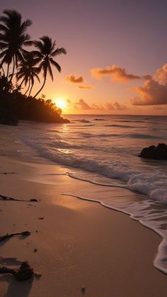 the sun is setting over the ocean with palm trees in the foreground and waves on the beach