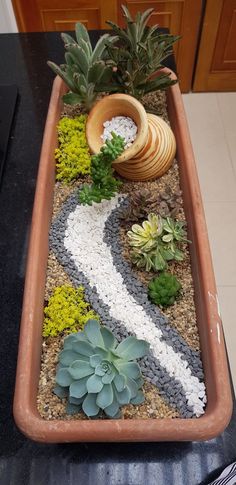 Suculentas en matera rectangular Succulent Mini Garden, Suculentas Ideas, Indoor Succulent Garden, Mini Succulent Garden, Rectangular Garden, Succulent Garden Design, Succulent Garden Diy, Dish Garden