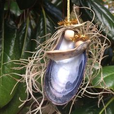 an ornament in the shape of a shell hanging from a tree with leaves