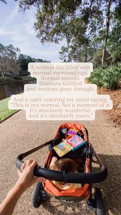 a child in a stroller with a sign that says it's normal day filled with