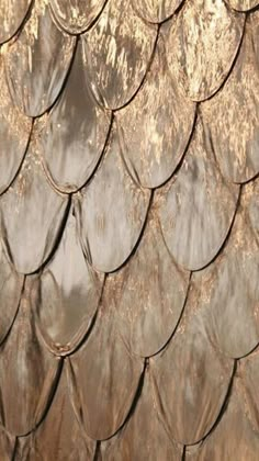 a close up view of the scales of a fish's tail pattern on a wall