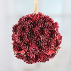 a bunch of red flowers hanging from a rope