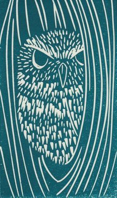 an owl with big eyes is shown in this blue and white print, which has wavy lines on it's face