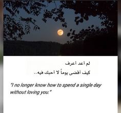 the moon is shining in the night sky over trees and hills with arabic writing on it