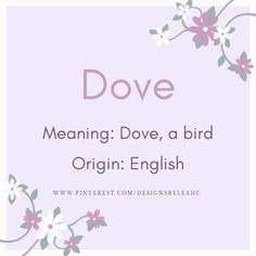 the words dove meaning dove, a bird origin english and an image of flowers