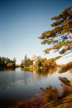 a lake surrounded by lots of trees and water