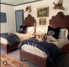 two beds in a room with pictures on the wall and one dog laying on it