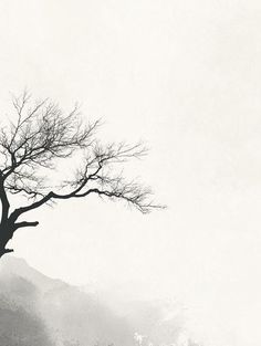 a black and white photo of a tree with no leaves on it, against a foggy sky