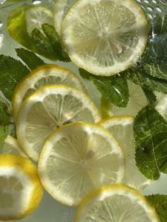 sliced lemons and mint leaves in water