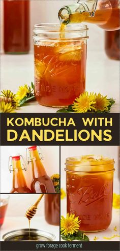 kombucha with dandelions in a jar is being filled with honey